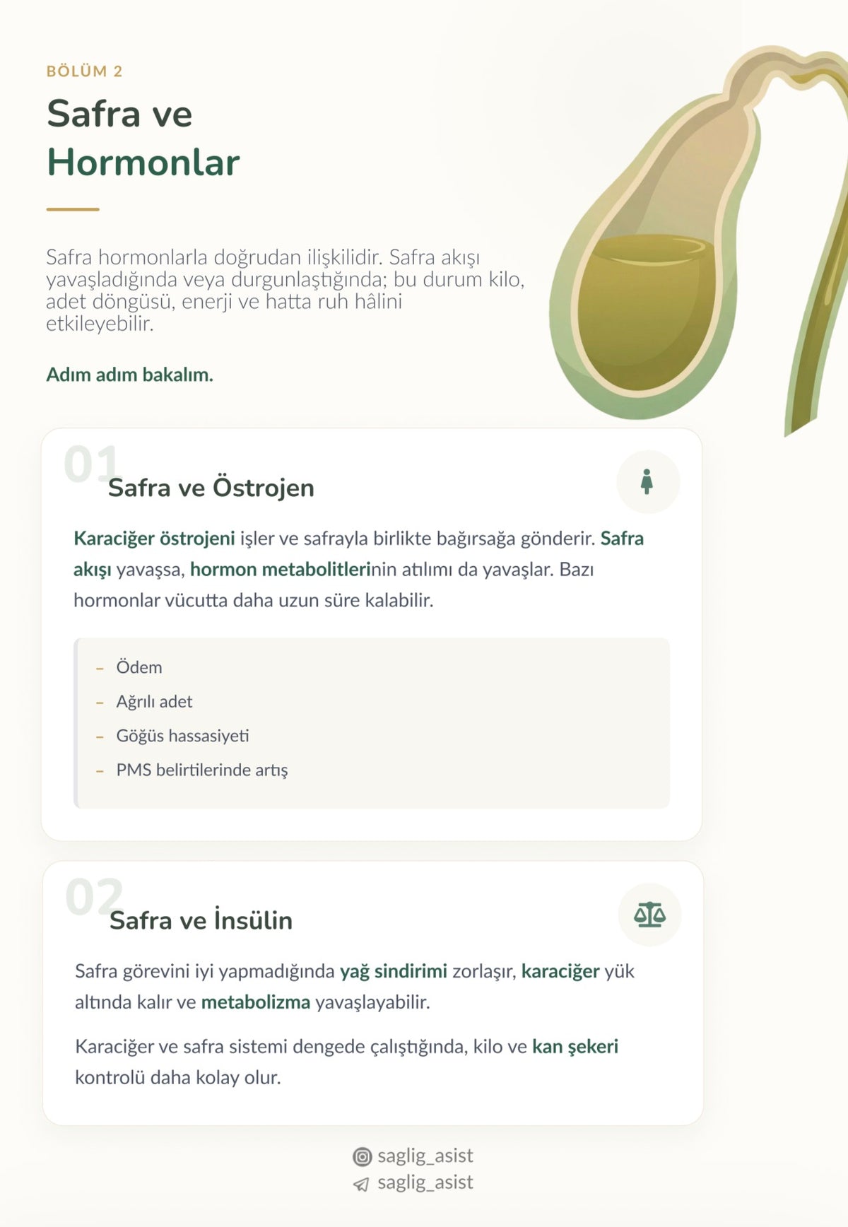 SASİ BÜYÜK SAFRA REHBERİ (dijital)