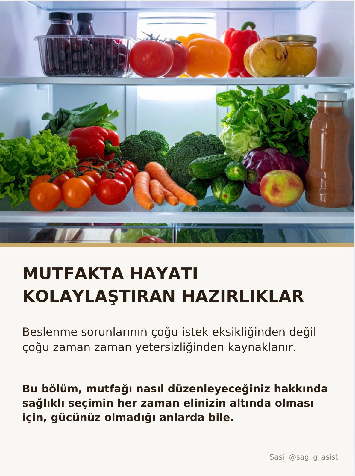 SASİ DENGELİ BESLENME REHBERİ (dıjıtal)